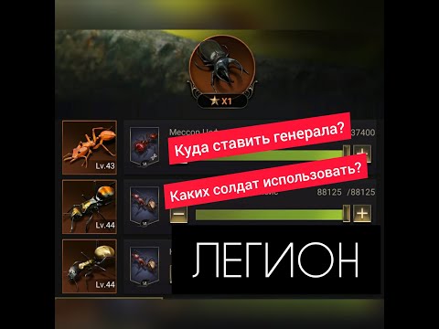 Видео: ЛЕГИОН, ударный и вспомогательный. Сильная АРМИЯ! The Ants: Underground Kingdom