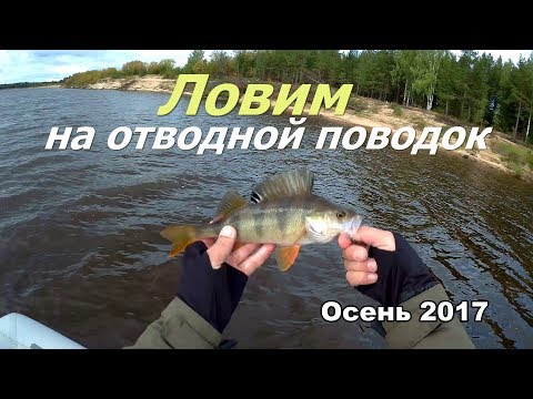 Видео: Ловим на отводной поводок.