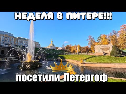 Видео: САНКТ ПЕТЕРБУРГ 2025/ПЕТЕРГОФ/ВКУСНЫЙ УЖИН/АЗИЯ ПЛОВ #санктпетербург #петергоф #прогулка #обзор
