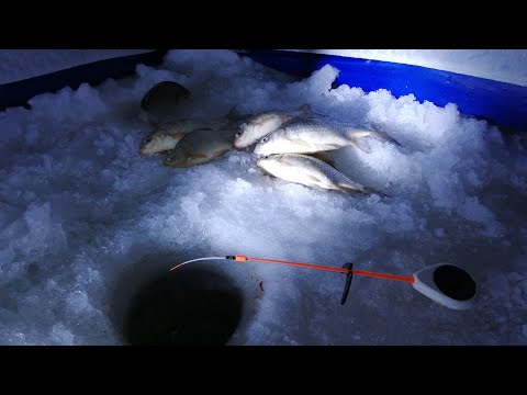 Видео: Сколько же здесь карася. Озеро Салтаим снова радует. Ловля карася зимой в палатке на мормышку.