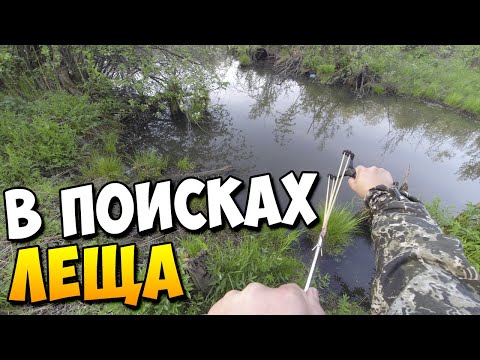 Видео: Необычная охота с рогаткой на Леща | Разведка мест и поиск рыбы #12