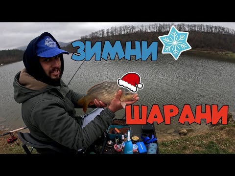 Видео: КЪДЕ се ДЪРЖАТ РИБИТЕ през ЗИМАТА! ДЕКЕМВРИЙСКИ ШАРАНИ!