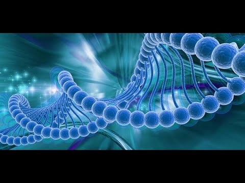 Видео: ВЕЧНОСТЬ ...//// заходи во ДВОРЫ НЕБЕСНЫЕ...////  ДжАсТин ПоЛ АбрАхАм