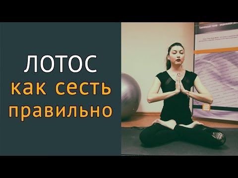 Видео: Как сесть в позу лотоса и раскрыть тазобедренный сустав