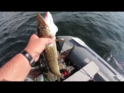 Видео: Эхолот Garmin Striker VIVID 7sv Первые впечатления