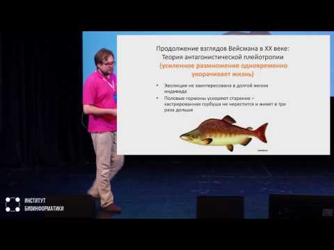 Видео: Почему мы стареем | Андрей Афанасьев, iBinom