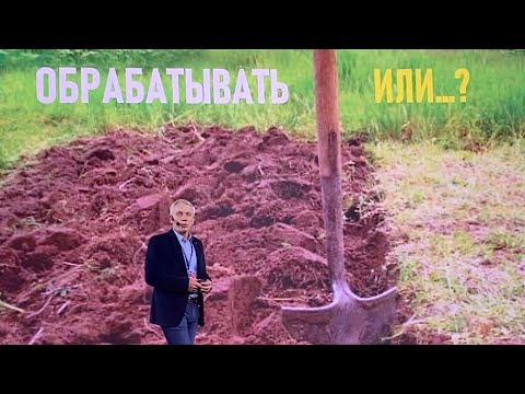 Видео: Обрабатывать или не обрабатывать? |  Почва