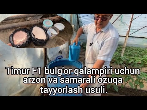 Видео: 2 - қисм Timur F1 булғор қалампири учун арзон ва самарали озуқа тайёрлаш усули.