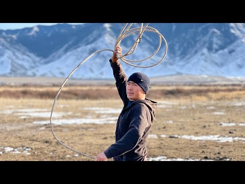 Видео: Шалма арқан есу. Шалма салу. 8 771 491 60 90