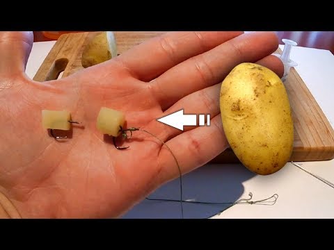 Видео: Как насадить картошку на крючок или волос | Формовка | Пеллетс | Рыбалка | Fishing