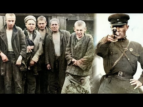 Видео: СЕМЬ ПОДРОСТКОВ  Приговорённых к СМЕРТИ и РАССТРЕЛЯНЫХ в СССР