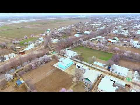 Видео: БИРЛАШ 05.02.2022.