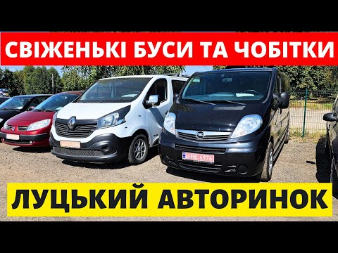 Видео: СВІЖІ ЦІНИ НА БУСИ ТА ЧОБІТКИ // ЛУЦЬКИЙ АВТОРИНОК / 25.09.25р. #автопідбір #буси #ренокенго #трафік
