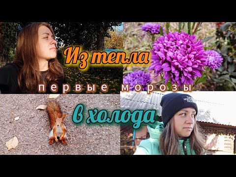 Видео: МОЛОДАЯ СЕМЬЯ ИЗ ГЛУХОЙ СИБИРИ / ПЕРВЫЕ ЗАМОРОЗКИ! 