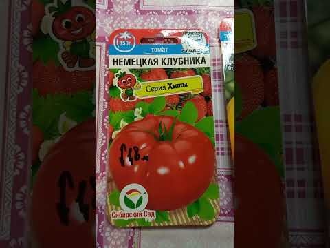 Видео: Какие томаты посадить в 2024 году?