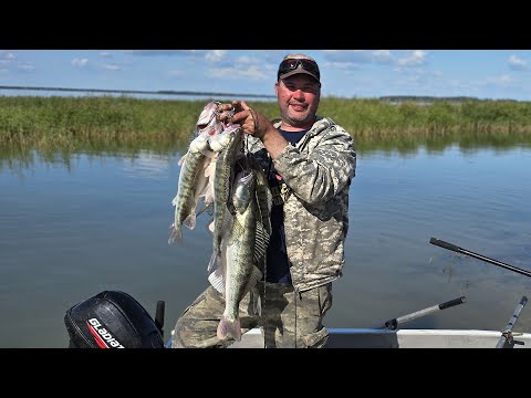 Видео: Разловил отличную приманку для ловли судака! Ночюем на острове, в загоне))) Судак на джиг.