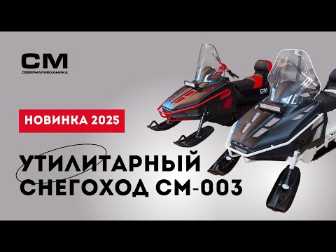 Видео: Обзор снегохода СМ-003