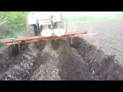 Видео: Посадка картофеля 4-мя окучниками. (часть 2)