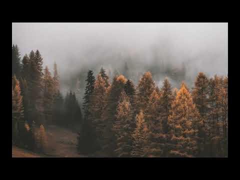 Видео: бутырка - не трогай осень (slowed + reverb)