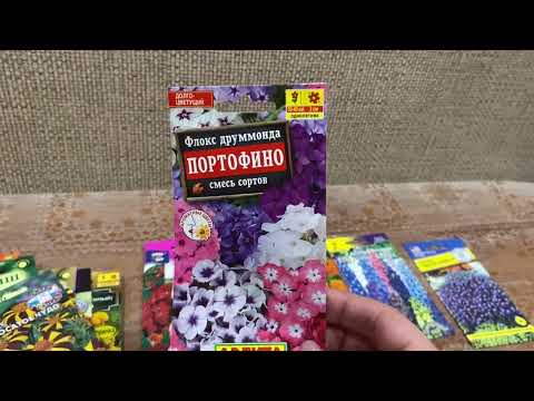 Видео: Семена цветов на 2024 год