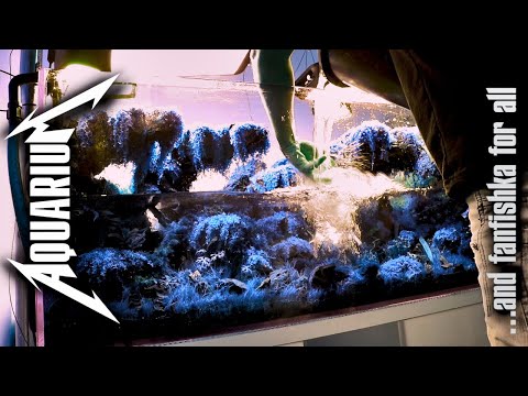 Видео: Качественные подмены воды в аквариуме: совет профессионалоFF