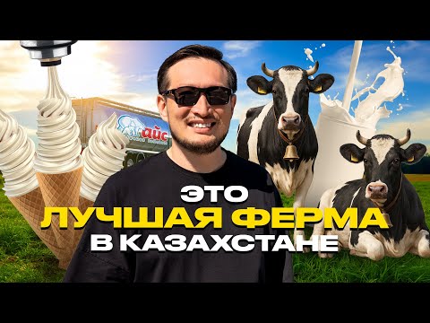 Видео: ПО ЗАВОДАМ. Как производят молоко и мороженое в Актобе