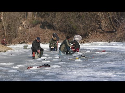 Видео: Не очікував побачити таку рибу на Горині. Зимова рибалка 2025.