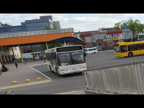 Видео: Автобус №275. Старое Село - АВ Витебск