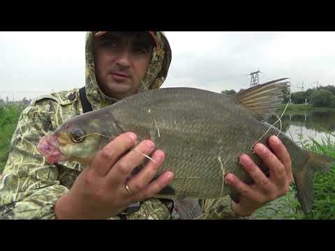 Видео: Карповая ловля леща на пенопласт