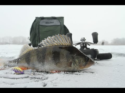 Видео: Обзор зимних удочек Lucky John и Salmo