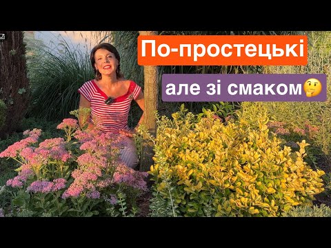 Видео: Седум Очитки в квітниках, на клумбах. Як розмножити Седум. Посадка