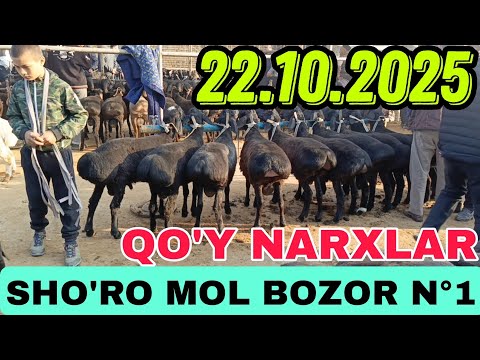 Видео: ШОРО МОЛ БОЗОРИ К,УЙ НАРХЛАР. 22-ОКТЙАБР 2025.