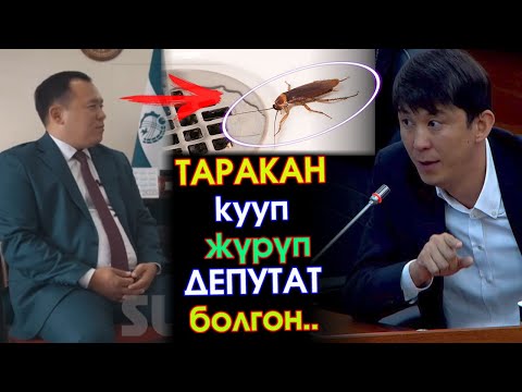 Видео: ТАРАКАН кууп ДЕПУТАТ болгон ДЕП айткан ЧИНОВНИККЕ депутат Эрулан Кокулов НААРАЗЫ болуп КАТУУ айтты