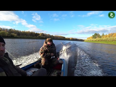 Видео: РЫБАЛКА НА РЕКЕ ТАВДА, СЕНТЯБРЬ/НАЧАЛО ОКТЯБРЯ! ЩУКА, ЯЗЬ, ОКУНЬ, СПИННИНГ, ДОНКИ, ДЖИГ, ТРОЛЛИНГ!
