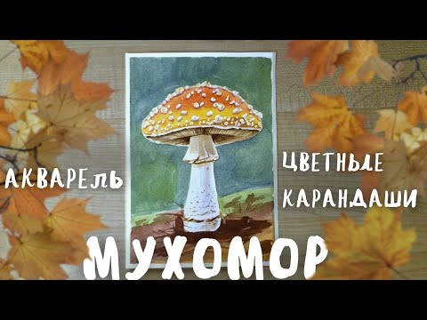 Видео: Рисуем мухомор акварелью и цветными карандашами 