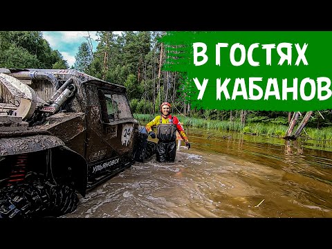 Видео: В гостях у Кабанов, Ульяновск