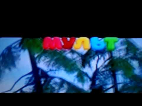 Видео: Новости Тлум HD Мульт и мульти музыка Смотри Бесплатно