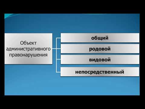 Видео: Административная ответственность 4 Курс
