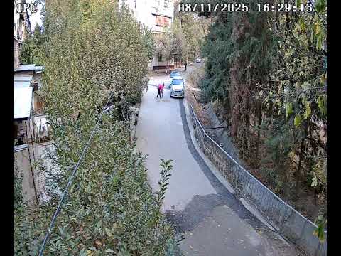 Видео: 8 ноября 2025 г.