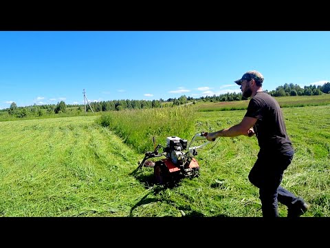 Видео: КОСИМ ПОЛЯ ЗА КОПЕЙКИ. СЕНОКОС МОТОБЛОКОМ В ДЕРЕВНЕ.  ВЕЧЕРНЯЯ БОЛТОВНЯ ИЗ КОНЮШНИ