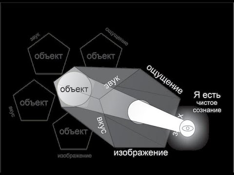 Видео: как происходит отождествление с объектами