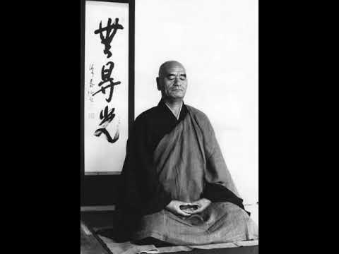 Видео: Тайсен Десимару. В позе дзадзен (вопросы и ответы).