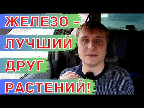 Видео: Железо для растений. Хелат железа. Железный купорос (Сульфат железа).