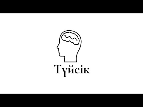 Видео: Түйсік