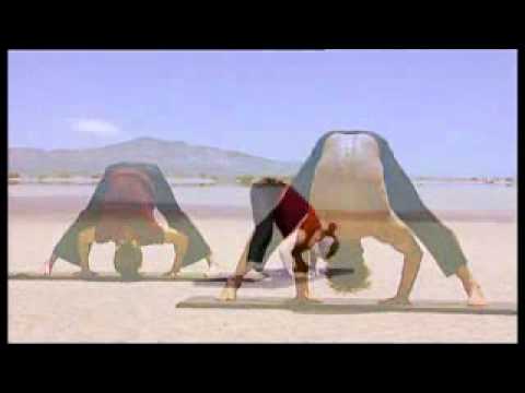 Видео: Йога для начинающих