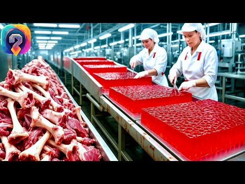 Видео: КАК ИЗГОТАВЛИВАЮТ ЖЕЛАТИН на производстве. Уникальные кадры процесса на фабрике!