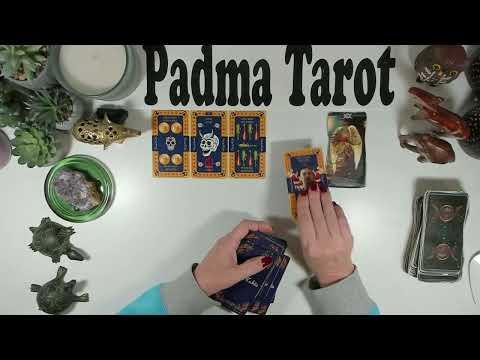 Видео: ТЕЛЕЦ♉️ЭТО СРАБОТАЕТ КАК ТРИГГЕР И НАПРАВИТ ВАС НА ИЗОБИЛИЕ! 3-9 НОЯБРЯ КАРЬЕРА И ФИНАНСЫ💰