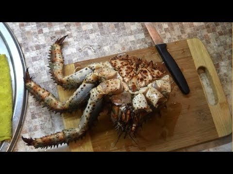 Видео: Удачная крабалка.  Кромсаю краба ..