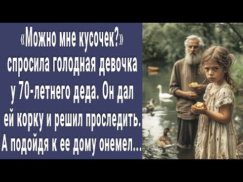 Видео: Можно мне кусочек? спросила малышка у 70-летнего деда кормящего птиц. А проследив за ней дед онемел