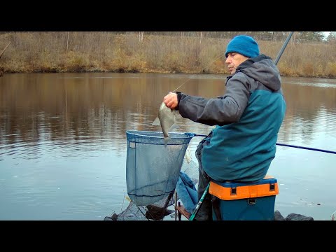 Видео: Осенний поплавок. Канал им. Москвы